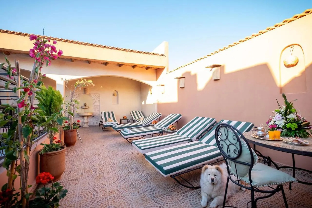 Riad Alibaba Tresor Marrakech Marrakesh